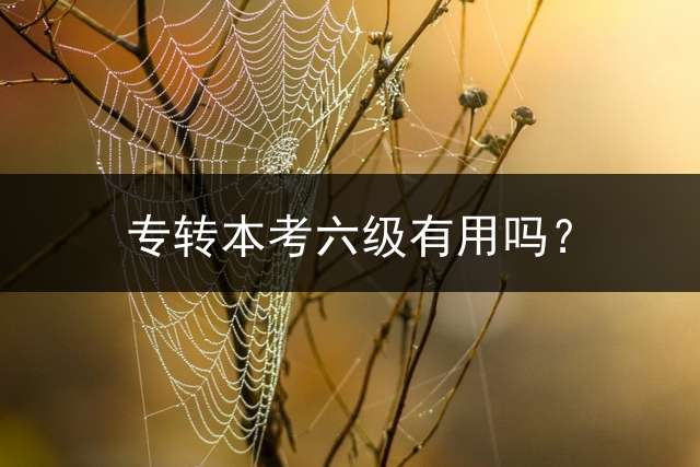 专转本考六级有用吗？