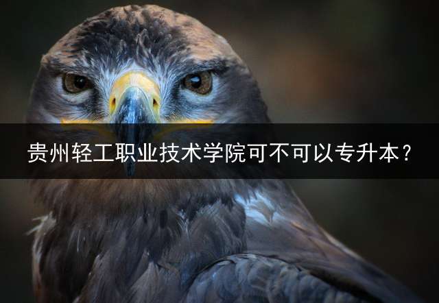 贵州轻工职业技术学院可不可以专升本？