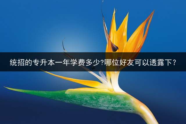 统招的专升本一年学费多少?哪位好友可以透露下？ (专升本一年学费多少钱？)