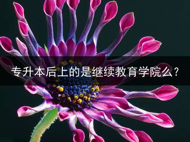 专升本后上的是继续教育学院么？