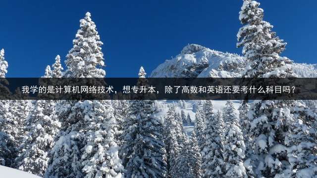 我学的是计算机网络技术，想专升本，除了高数和英语还要考什么科目吗？