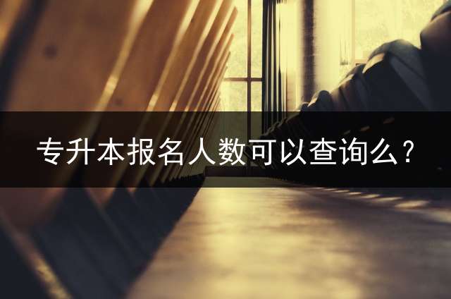 专升本报名人数可以查询么？