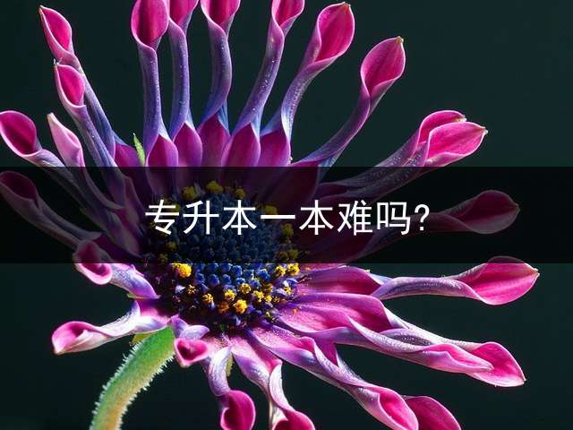专升本一本难吗?