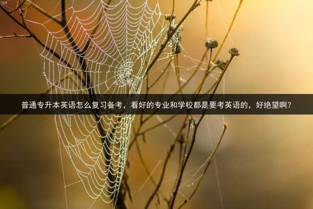普通专升本英语怎么复习备考，看好的专业和学校都是要考英语的，好绝望啊？
