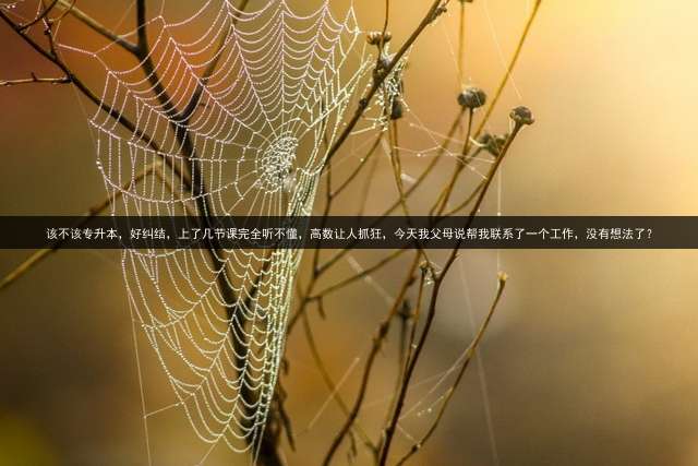 该不该专升本，好纠结，上了几节课完全听不懂，高数让人抓狂，今天我父母说帮我联系了一个工作，没有想法了？