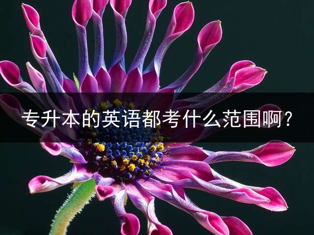 专升本的英语都考什么范围啊？