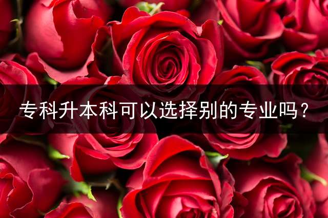 专科升本科可以选择别的专业吗？