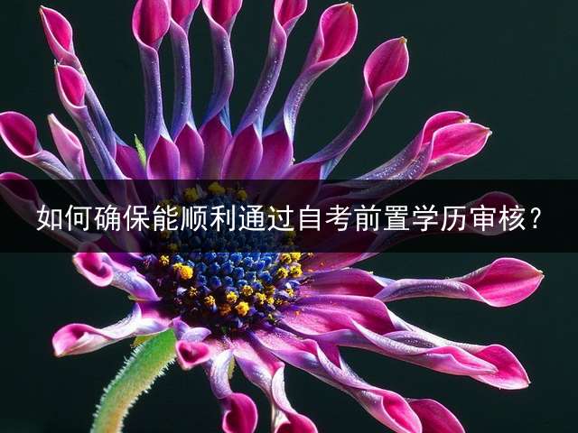 如何确保能顺利通过自考前置学历审核？