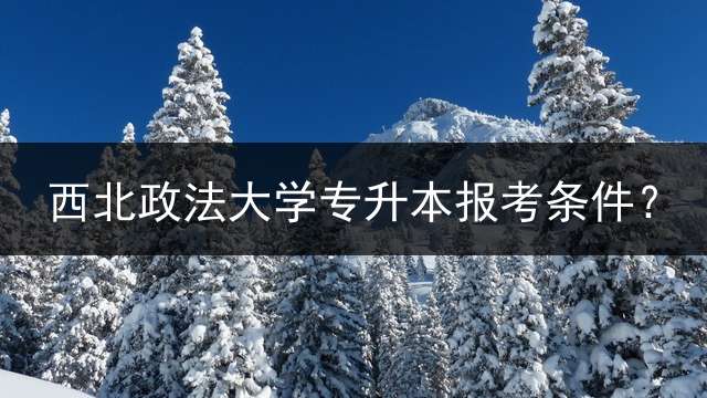 西北政法大学专升本报考条件？