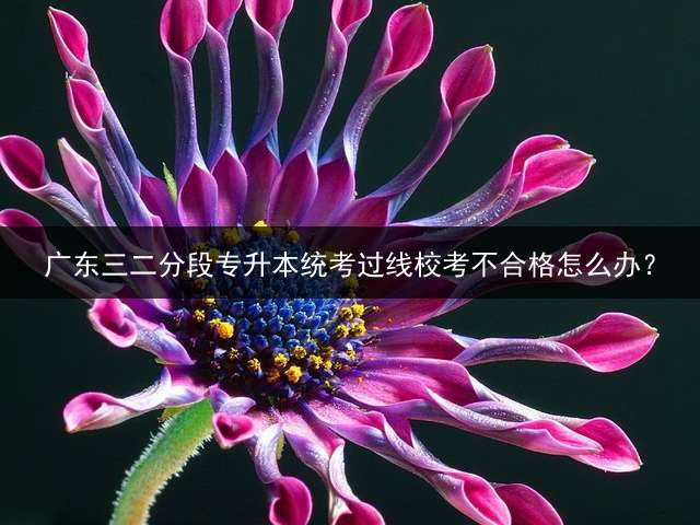 广东三二分段专升本统考过线校考不合格怎么办？