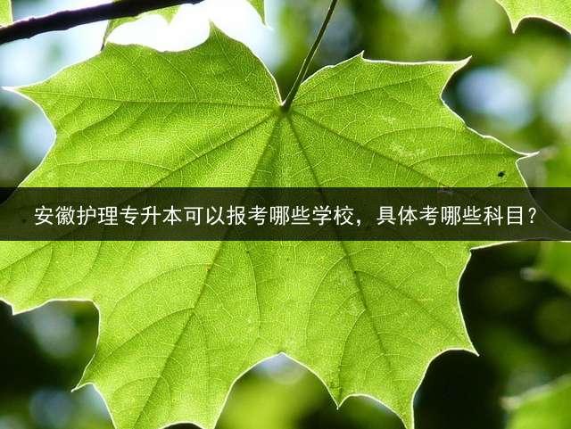 安徽护理专升本可以报考哪些学校，具体考哪些科目？