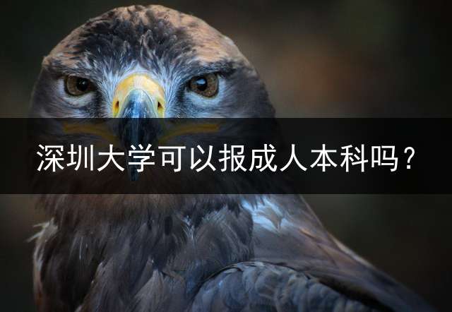 深圳大学可以报本科吗？