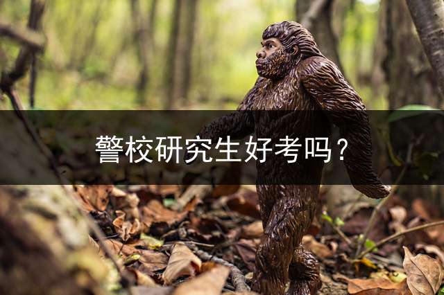 警校研究生好考吗？ (公安人员研究生有用吗？)