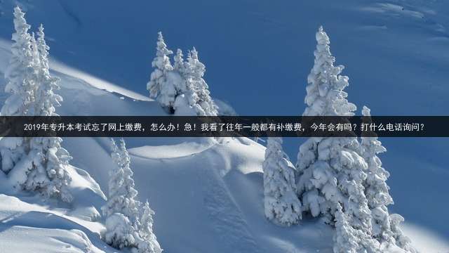 2019年专升本考试忘了网上缴费，怎么办！急！我看了往年一般都有补缴费，今年会有吗？打什么电话询问？