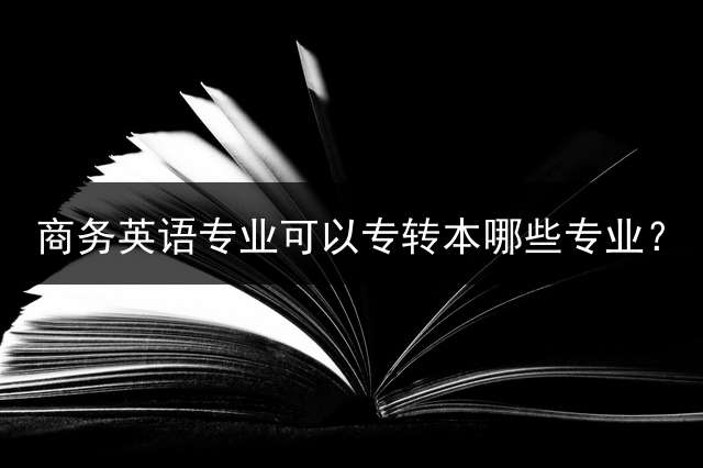 商务英语专业可以专转本哪些专业？