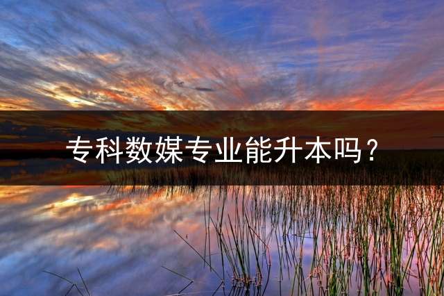 专科数媒专业能升本吗？