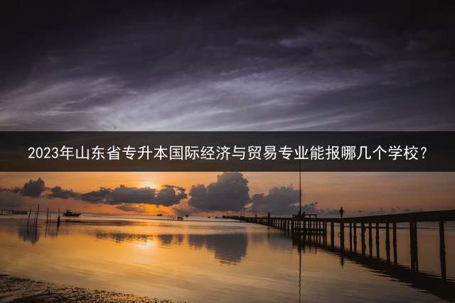 2023年山东省专升本国际经济与贸易专业能报哪几个学校？