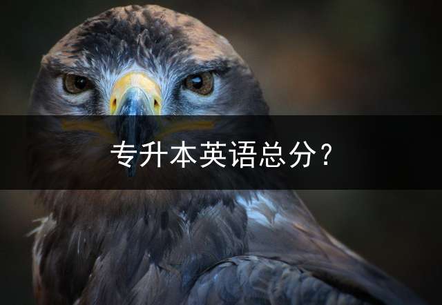 专升本英语总分？