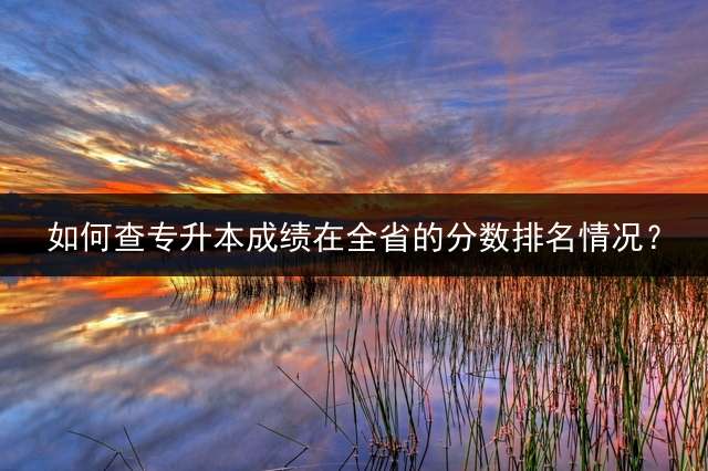 如何查专升本成绩在全省的分数排名情况？