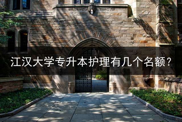 江汉大学专升本护理有几个名额？