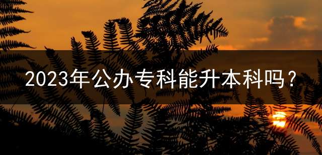 2023年公办专科能升本科吗？