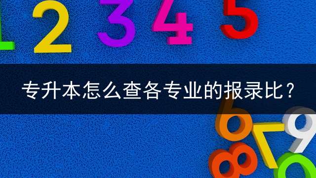 专升本怎么查各专业的报录比？