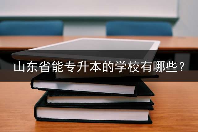 山东省能专升本的学校有哪些？