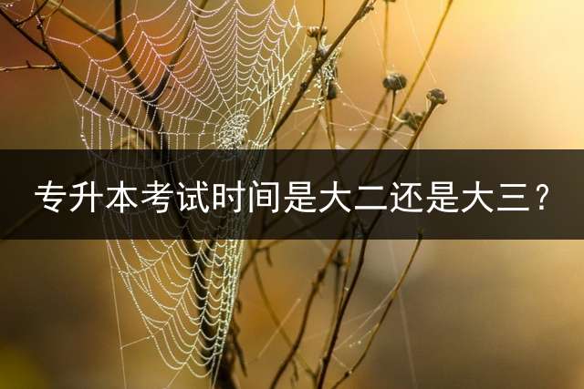 专升本考试时间是大二还是大三？