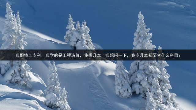 我即将上专科，我学的是工程造价，我想升本，我想问一下，我专升本都要考什么科目？