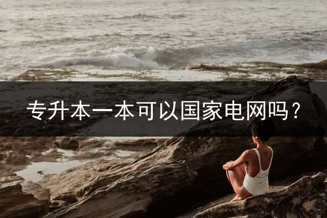 专升本一本可以国家电网吗？