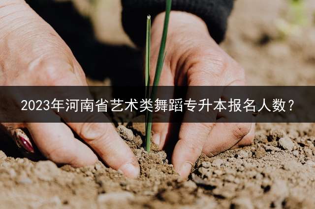 2023年河南省艺术类舞蹈专升本报名人数？
