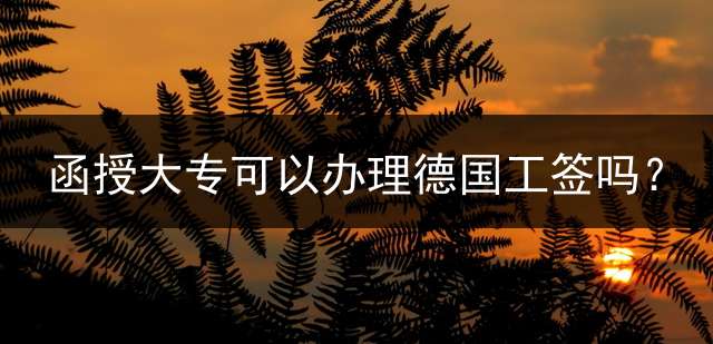 函授大专可以办理德国工签吗？