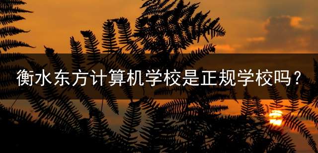 衡水东方计算机学校是正规学校吗？ 衡水科技工程学校属于什么类型学校？