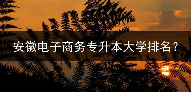 安徽电子商务专升本大学排名？