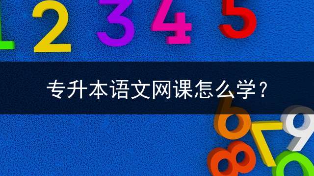 专升本语文网课怎么学？