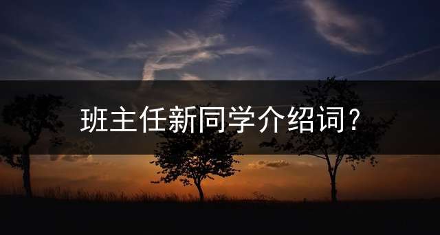 班主任新同学介绍词？