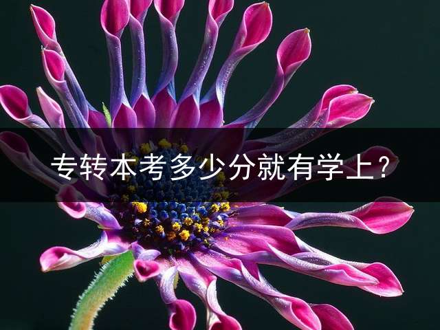 专转本考多少分就有学上？