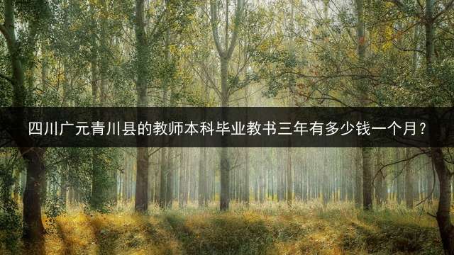 四川广元青川县的教师本科毕业教书三年有多少钱一个月？