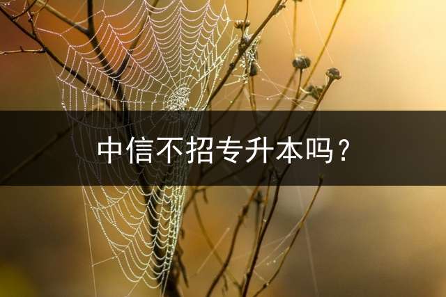 中信不招专升本吗？