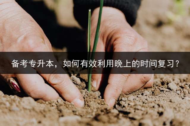 备考专升本，如何有效利用晚上的时间复习？