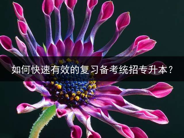 如何快速有效的复习备考统招专升本？
