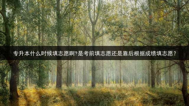 专升本什么时候填志愿啊?是考前填志愿还是靠后根据成绩填志愿？