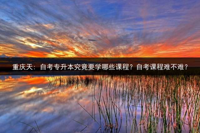重庆天: 自考专升本究竟要学哪些课程？自考课程难不难？