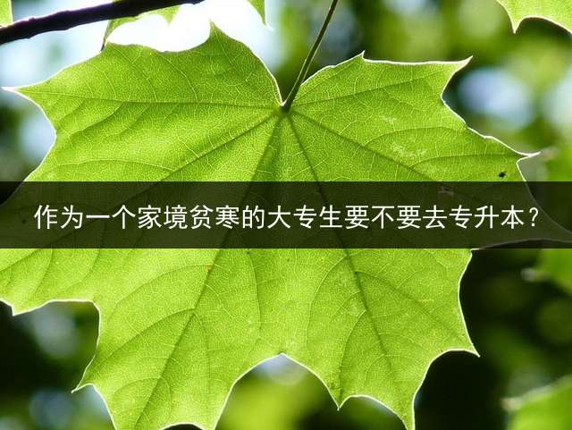 作为一个家境贫寒的大专生要不要去专升本？