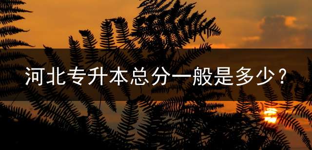 河北专升本总分一般是多少？