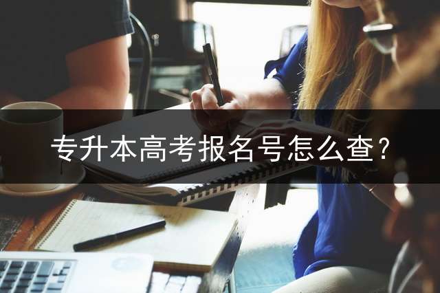 专升本高考报名号怎么查？