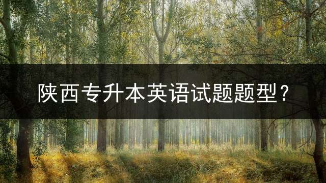 陕西专升本英语试题题型？