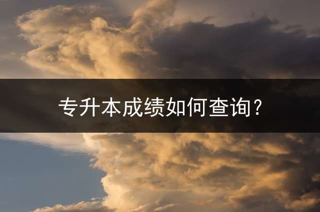 专升本成绩如何查询？