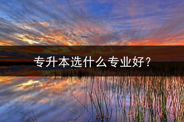 专升本选什么专业好？