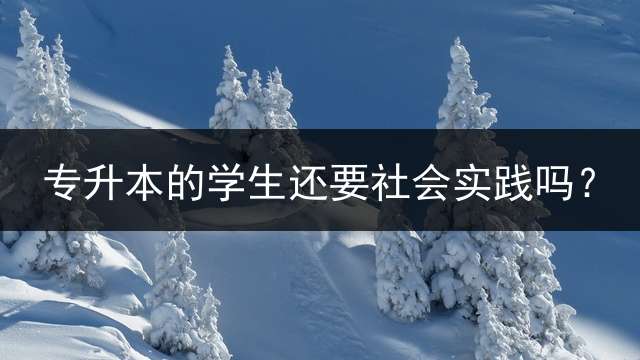 专升本的学生还要社会实践吗？